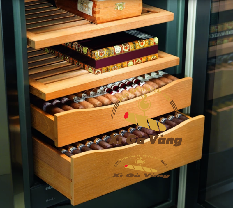 Hãy tuân theo hướng dẫn về cách sử dụng tủ bảo quản xì gà để giúp giữ nguyên hương vị của sản phẩm nhé!